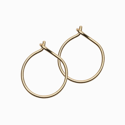 Golden Titanium Ear Rings