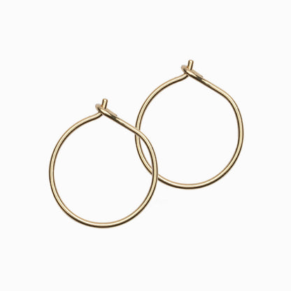 Golden Titanium Ear Rings
