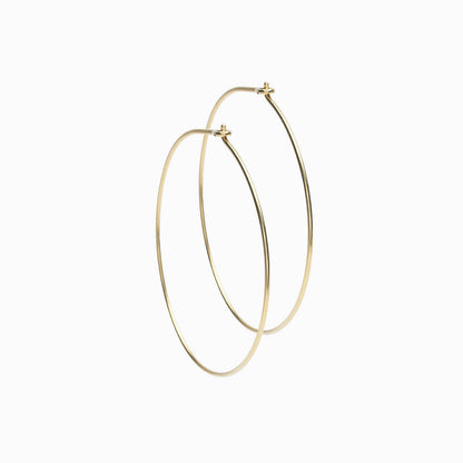 Golden Titanium Ear Rings