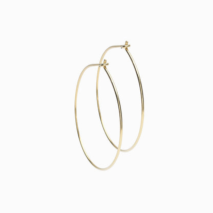 Pure Medical Grade Golden Titanium Ear Rings