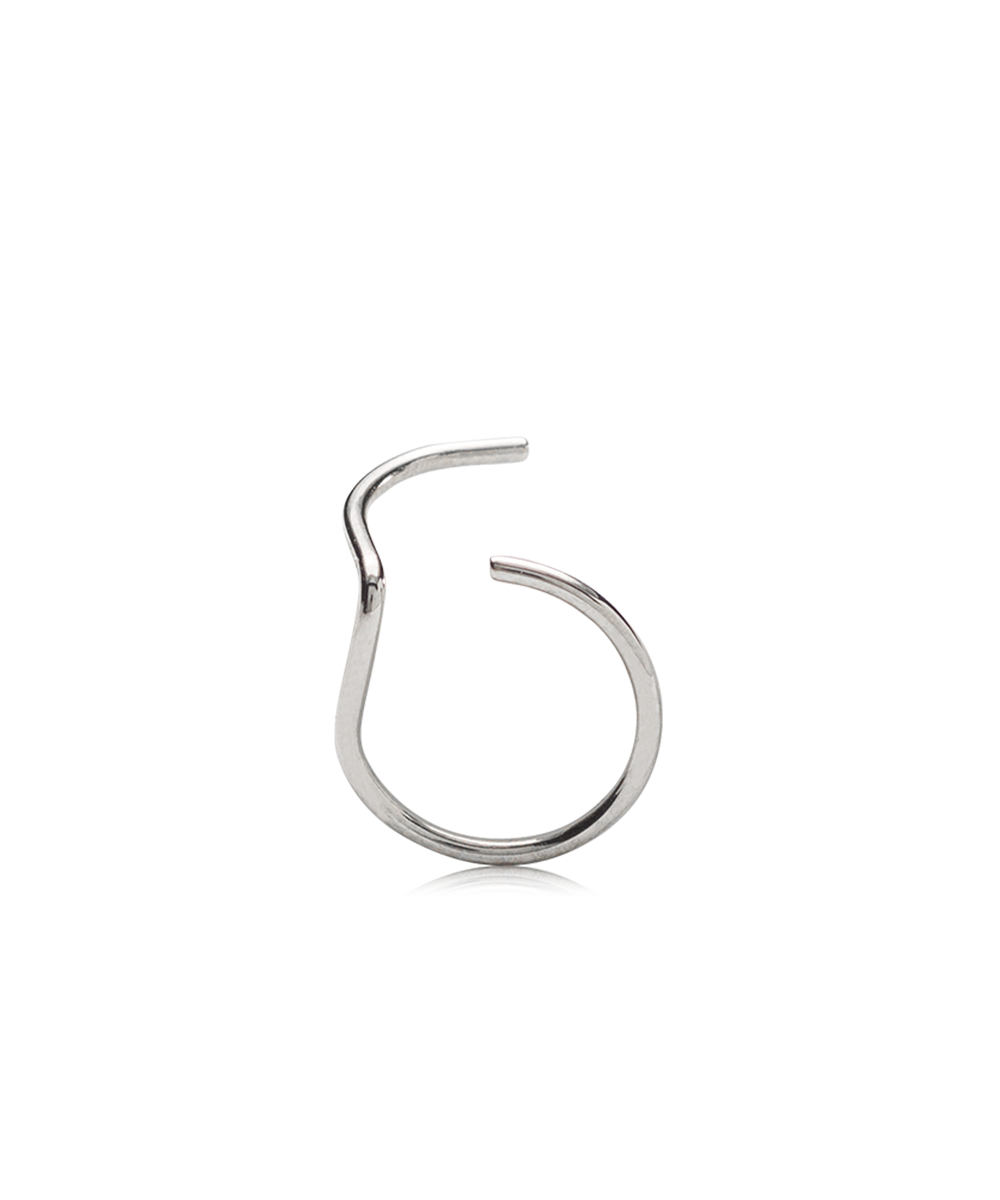 NT Nose Ring, Right Side