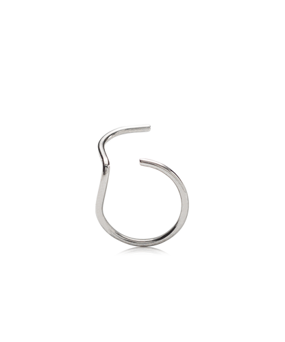 NT Nose Ring, Right Side